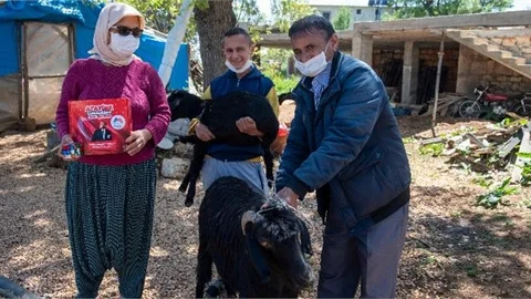 Adem İstedi, Başkan Seçer Keçi ve Oğlak Hediye Etti