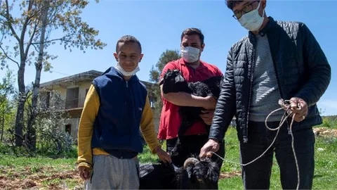 Adem’in 23 Nisan Sevinci: Keçi ve Yavrusu