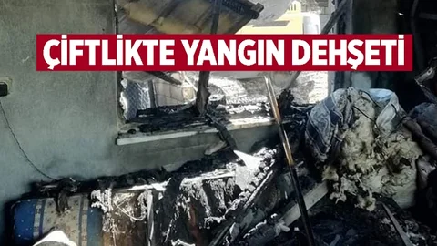 Mersin'de Yangın Dehşeti