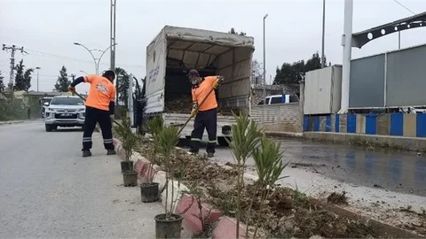Büyükşehir’den Yenice’deki Caddelerin Orta Refüjlerinde Bodur Bitki Dikim Çalışması