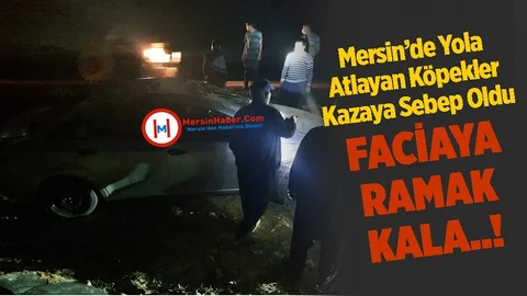 Mersin'de Köpekler Kazaya Sebep Oldu, 1 Yaralı