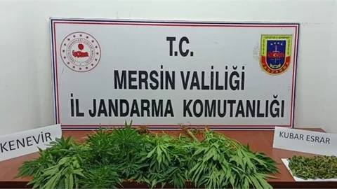 Uyuşturucu Tacirlerine 5 Ayrı Operasyon