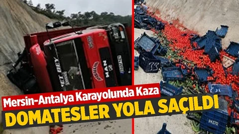 Viyadükte Korkutan Kaza, Freni Patlayan Kamyon Devrildi