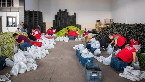 Üreticinin Elinde Kalan Sebzeler Dar Gelirli Vatandaşlara Ulaştırıldı