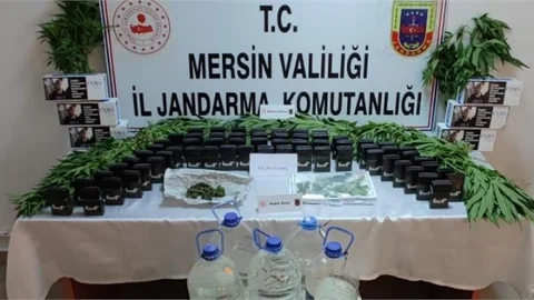 Çatı Katında Kenevir Yetiştirmişler