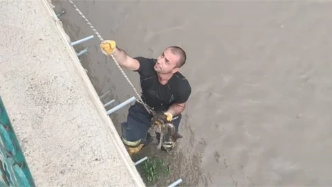 Mahsur Kalan Kedi İçin Seferber Oldular