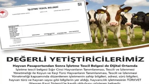 İşletme Tescil Belgesi Dijital Ortamda