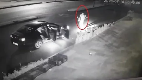 Bu da Bir Başka Saksı Hırsızı