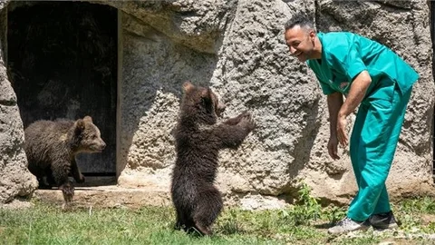 Tarsus Doğa Parkı’nın İki Yeni Maskotu