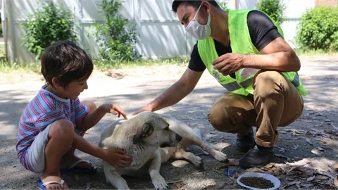 Sokak Hayvanları Unutulmadı