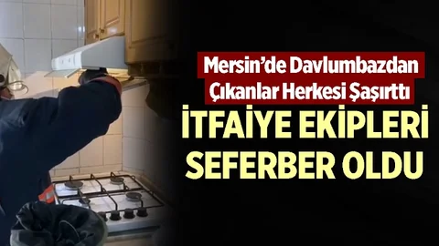 Davlumbazdan Çıkanlar Herkesi Şaşırttı