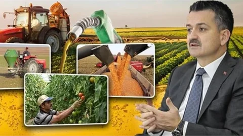 427,5 Milyon Liralık Destek Ödemeleri Başladı