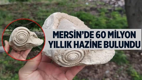 Mersin'de Bulunan Hazine Değerindeki Fosil Büyük Heyecan Yarattı