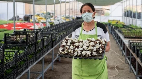 Kadınlar Yetiştiriyor, Mersin Rengarenk Oluyor