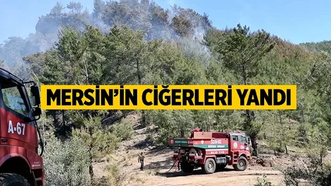 Mersin'in Ciğerleri Alevlere Teslim Oldu