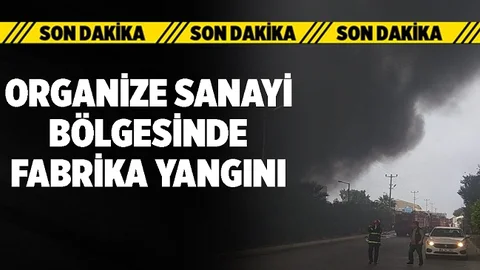 Organize Sanayi Bölgesindeki Bir Yağ Fabrikasında Yangın Çıktı