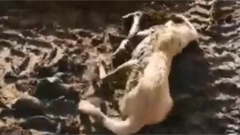 İyi Kalpler Yine İşbaşında!