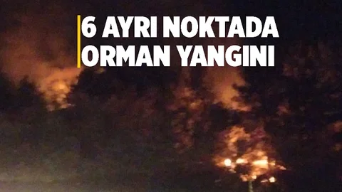 Mersin'de Gece Saatlerinde Çıkan Orman Yangını Söndürüldü