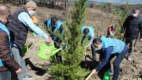 Hükümlü ve Yükümlüler Çevre Dostu Uygulamalar İle Topluma Kazandırılıyor