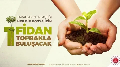 Uzlaşma Sağlanan Her Dosya İçin Bir Fidan Dikilecek