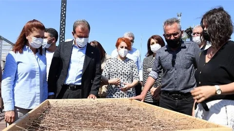 Mersin’de Karbondioksit Salınımı 15.3 Milyon Ton Olarak Hesaplandı