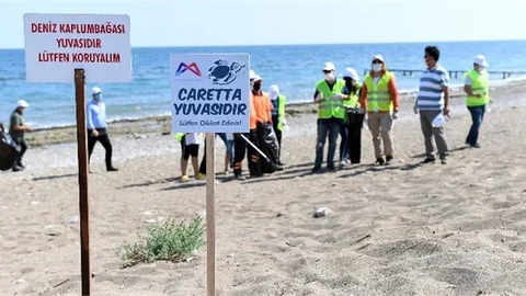 Çevre Haftası’nda Büyükşehir’den Caretta Caretta Farkındalığı