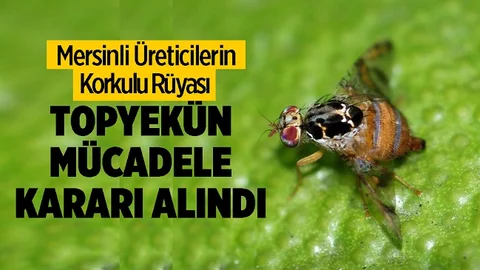 Tarsus İlçe Tarım Müdürlüğü'nden Topyekün Mücadele Kararı