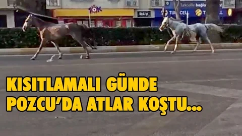 Kısıtlamalı Günde Mersin Caddelerinde Atlar Koştu