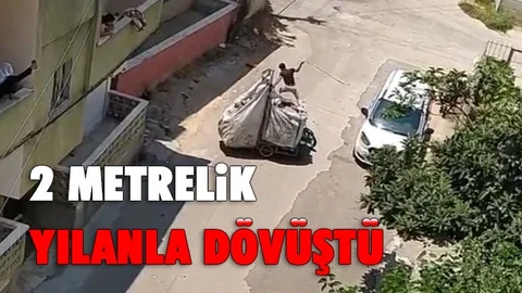 Genç Adam Yılanla Dövüştü