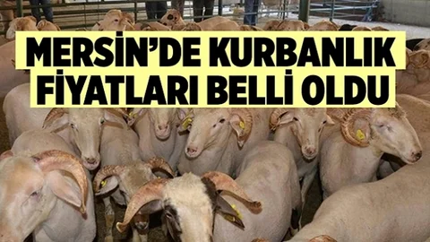Mersin'de 2021 Yılı Kurbanlık Fiyatları Belli Oldu
