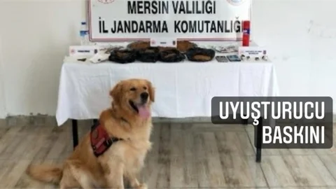 3 Adrese Uyuşturucu Baskını