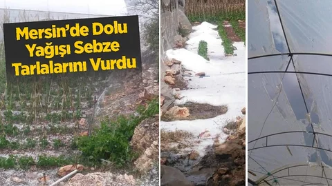 Kısa Süreli Dolu Yağışı Sebze Tarlalarında Zarara Yol Açtı