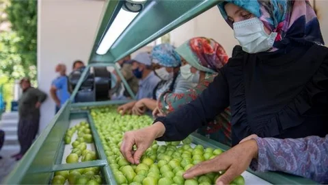 Erik Cenneti Mut’a Mersin Büyükşehir’den Makine Desteği