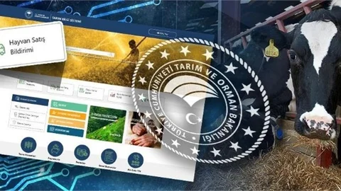 İl İçi Hayvan Satışları Artık Dijital Ortamda Yapılabilecek