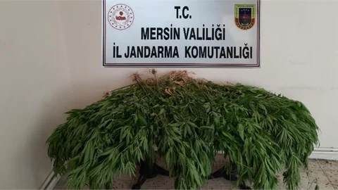 Uyuşturucu Operasyonunda 4 Tutuklama