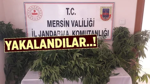 Jandarma Ekipleri Uyuşturucuya Geçit Vermiyor