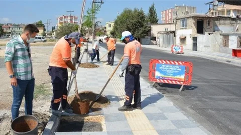 Büyükşehir, Tarsus’ta Yenilediği Caddelerin Kenarlarını Ağaçlandırıyor