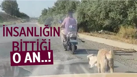 Bu Görüntüler Yürekleri Sızlattı