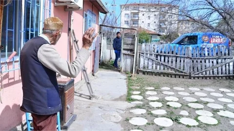 Sosyal ve Ekonomik Destek Ödemelerinin Miktarı Artırıldı