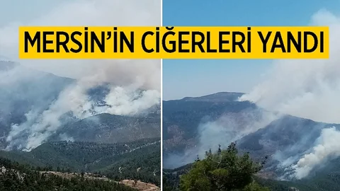 Mersin’de Orman Yangını! Mücadele Aralıksız Sürüyor