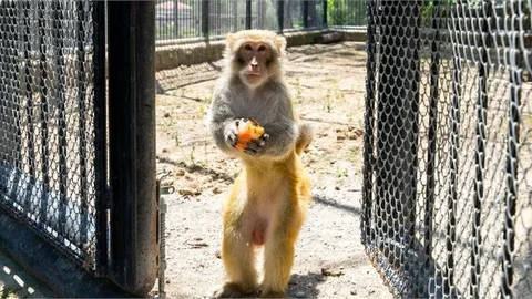 Pandemi Tedbirlerinin Azami Şekilde Uygulandığı Doğa Parkı’na Yoğun Talep