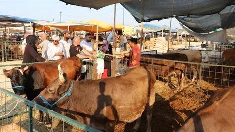 Mersin Toroslar'daki Kurban Satış ve Kesim Yerleri