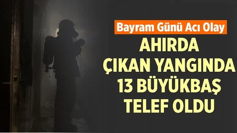 Mersin'de Ahır Yangını, 13 Hayvan Telef Oldu