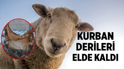 Mersin'de Bazı Mahallelerde Kurban Derileri Vatandaşın Elinde Kaldı