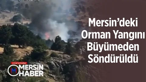Mersin'de Ormanlık Alanda Yangın, Ekipler Hemen Müdahale Etti