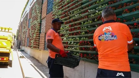 Tulumba Köprüsü’nün Dikey Bahçeleri Çiçeklendi