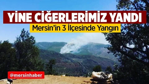 Yine Ciğerlerimiz Yandı, Mersin'in 3 İlçesinde Yangınlar Var