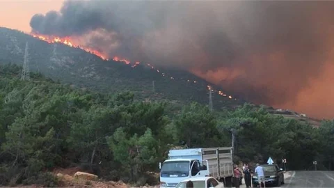 Ciğerlerimiz Yanıyor!