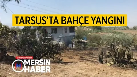 Alevlerin Sardığı Bahçede Ağaçlar Kül Oldu