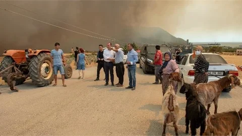 Başkan Seçer, Silifke ve Aydıncık’ta Yangın Bölgelerini İnceledi